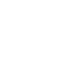CrimeSight